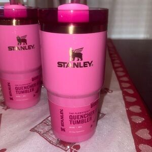 Stanley Wicked Tumbler